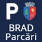 Prin intermediul aplicației puteți achita taxele de parcare pentru parcările publice cu plată din Municipiul Brad