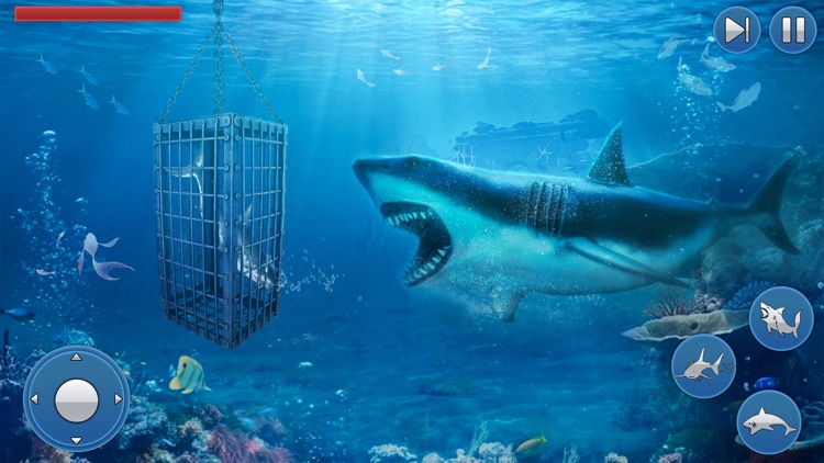 Survival Underwater Shark Game screenshot-3