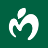 Fanplus, Inc. - Mrs. GREEN APPLE アートワーク