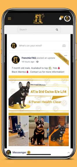 Game screenshot Frenchie FAQ: Puppy Finder hack