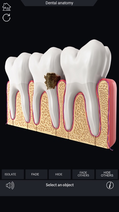 My Dental Anatomyのおすすめ画像6