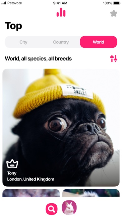 Petsvote Screenshot