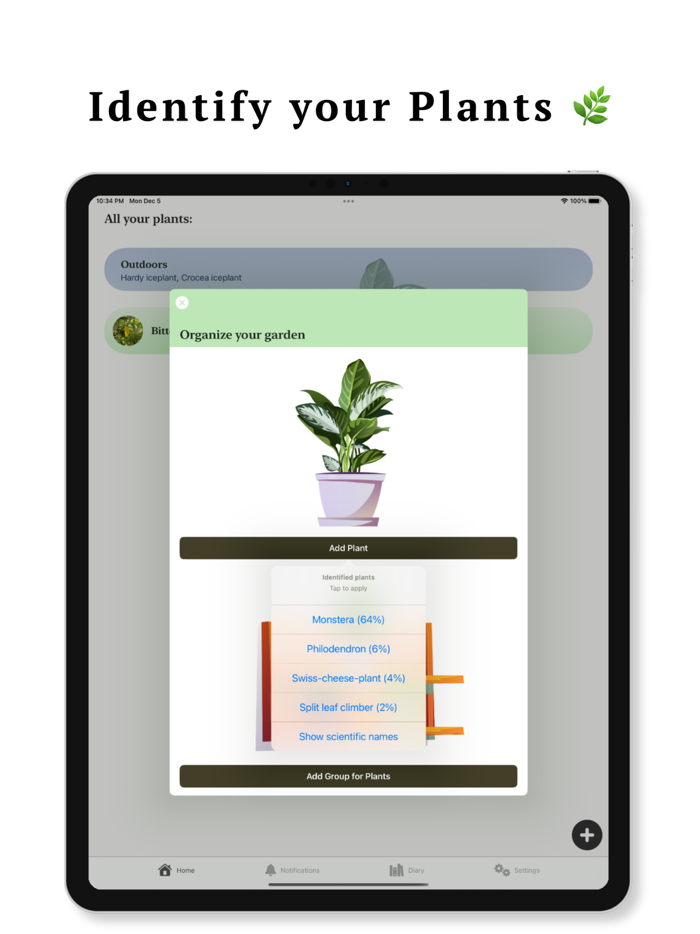 Indoor Plant Garden Planning