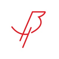 Black Bird Smart Wrist Band logo