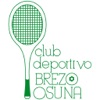 Club Deportivo Brezo Osuna