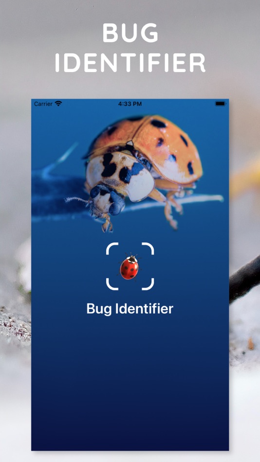 AI Photo App - Bug Identifier - 1.0.2 - (iOS)