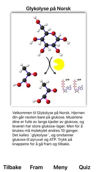Glykolyse iphone bilder 0