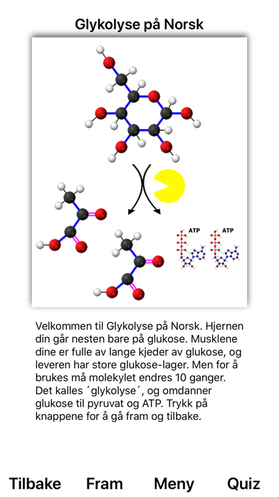Glykolyse Screenshot