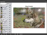 Breeds of Dogs ipad bilder 0