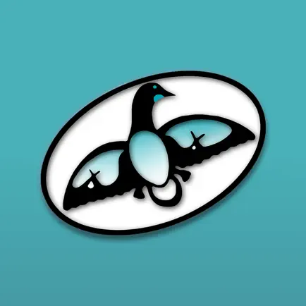 Shibogama Читы