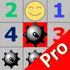 Minesweeper Pro Version delete, cancel