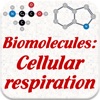 Biomolecules: Cell respiration icon