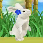 A RABBIT IS BORN App Support