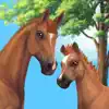 Star Stable: Horses contact information