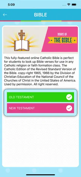 Game screenshot CatholicBrain hack