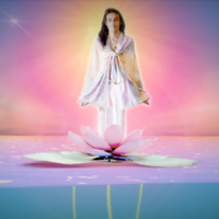 Lotus Ocean