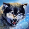 Wolf Target Shooting icon