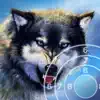 Wolf Target Shooting contact information