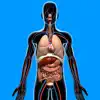 Human Anatomy Quizzes App Feedback