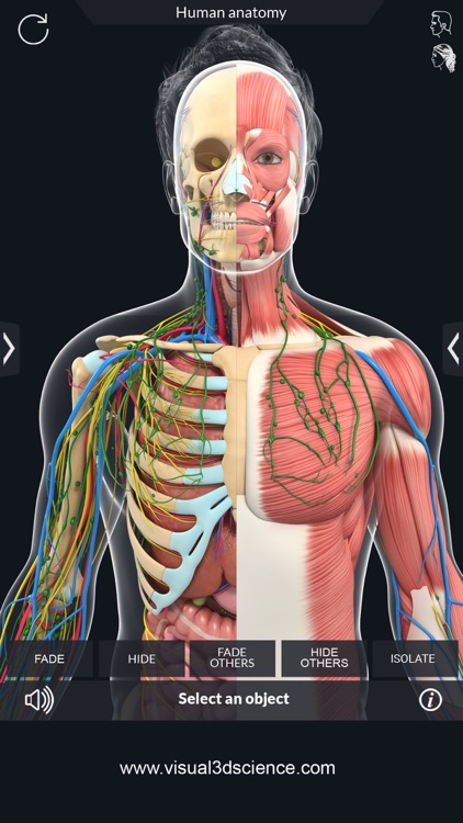 Human Anatomy screenshot-3