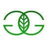 Greengo Capital