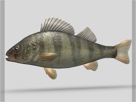 Screenshot #4 pour 3D Fish Anatomy