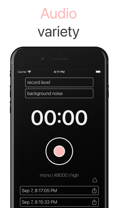 Stereo Recorder Screenshot