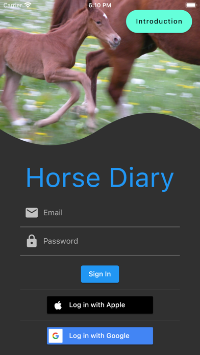 Horse Diary Screenshot