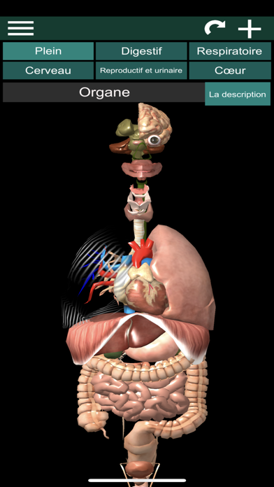 Screenshot #1 pour Organes 3D (Anatomie)