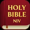 NIV Bible - Holy Audio Version problems & troubleshooting and solutions