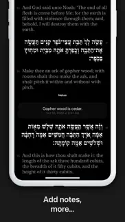 shnayim iphone screenshot 4