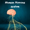 Human Nervous system icon