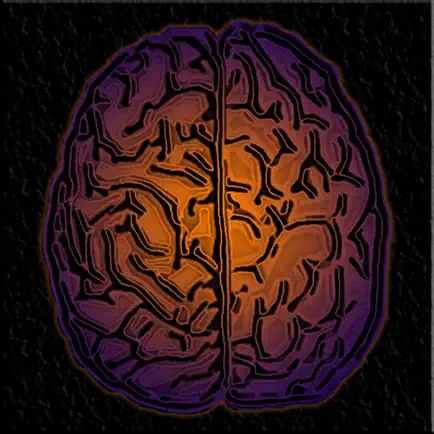 DualBrain+ Обучение мозгу Читы