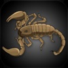 Indian Scorpions eGuide - iPhoneアプリ