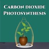 Carbon dioxide Photosynthesis
