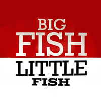Big Fish Little Fish