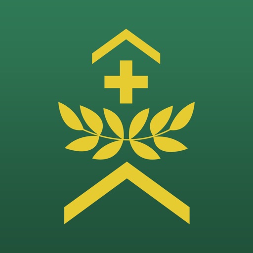 Swiss Armed Forces Insignia icon