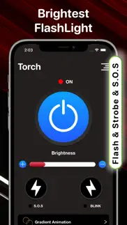 flashlight -torch light widget problems & solutions and troubleshooting guide - 4