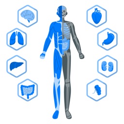Virtual Medical Anatomy