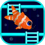 Fish Ladder Fall Down App Problems