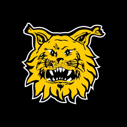 Tampereen Ilves Cheats