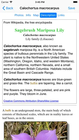 British Columbia Wildflowers screenshot 4