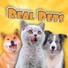 Real Pets icon