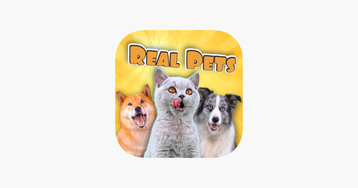 Pet real on sale