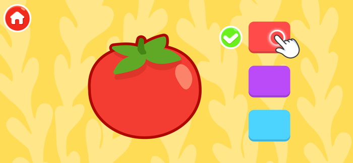 Learning Colors for Kids 2-5