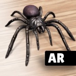 AR Spiders  Co