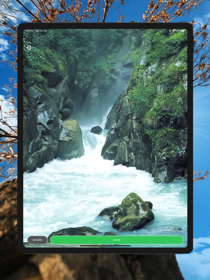 Live Wallpaper eLive