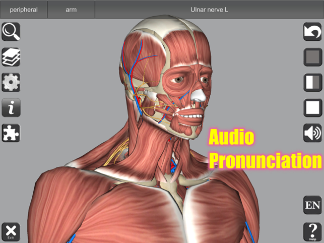 ‎Captura de tela de anatomia 3D