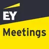 EY Meetings problems & troubleshooting and solutions