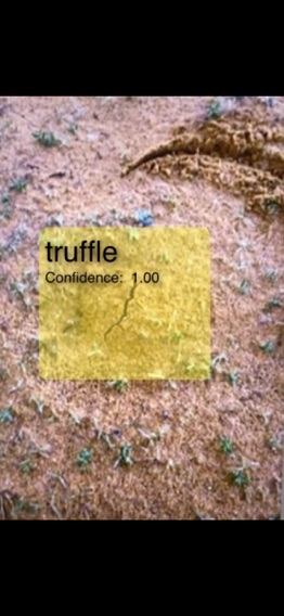 فقع Truffleのおすすめ画像5